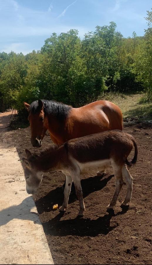 Etno Selo Montegoat Niksic Exterior foto